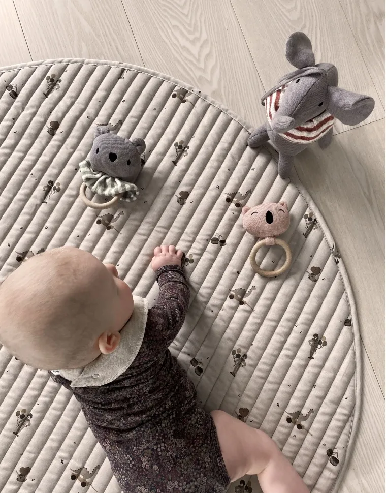 Ola Playmat Musik Dino