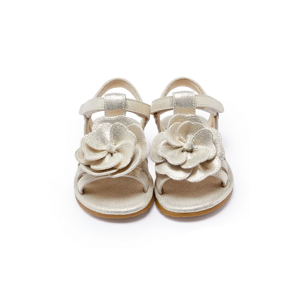 Donsje Baby Sandalen "Jiles Fields Simmer Buttercup" | Silver Metallic