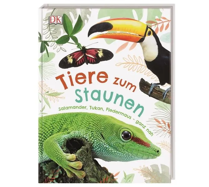 Tiere zum Staunen Salamander, Tukan, Fledermaus
