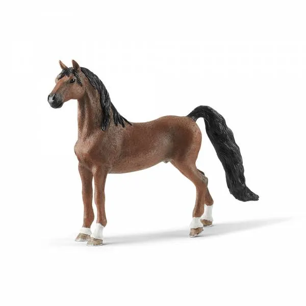 American Saddlebred Wallach
