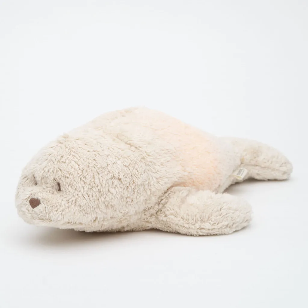 Seehund Seal Humming Sand