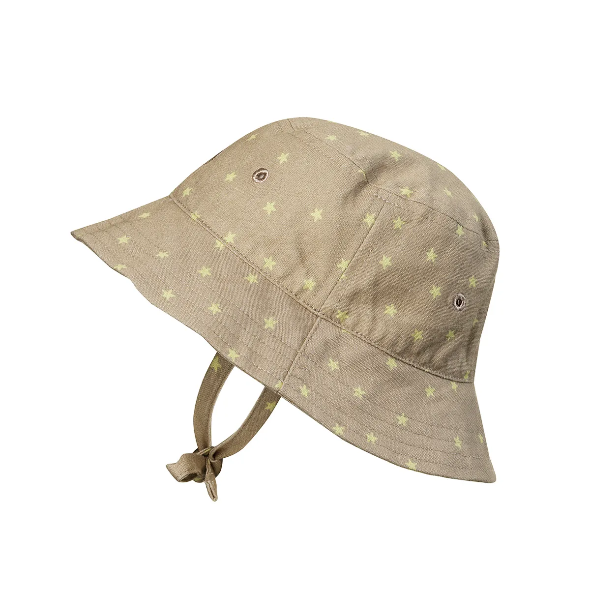 Sonnenhut Lemon Sternchen