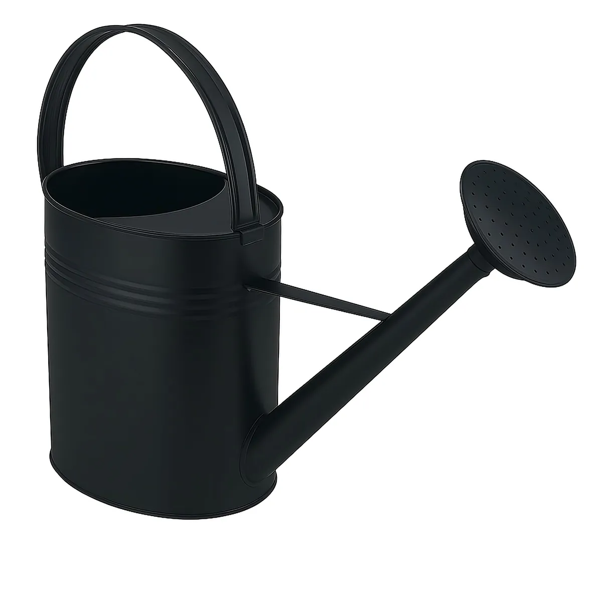 Zinkgiesskanne mit Giessbrause (10 L) feuerverzinkt, Schwarz 10 Liter