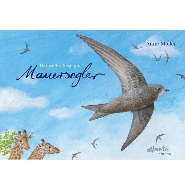Die weite Reise der Mauersegler