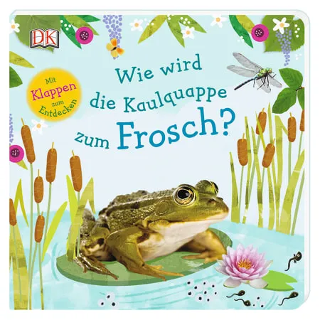 Wie wird die Kaulquappe zum Frosch?