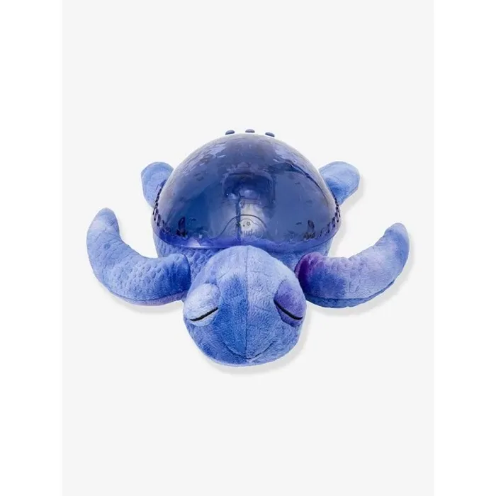 Tranquil Turtle - OCEAN