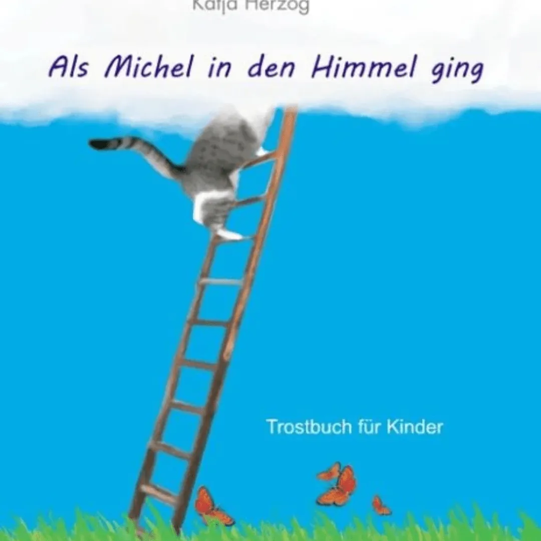 Buch "Als Michel in den Himmel ging"