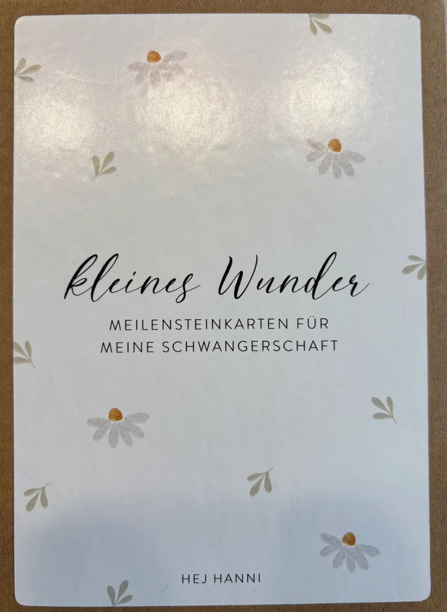 Hej Hanni Meilensteinkarten für die Schwangerschaft