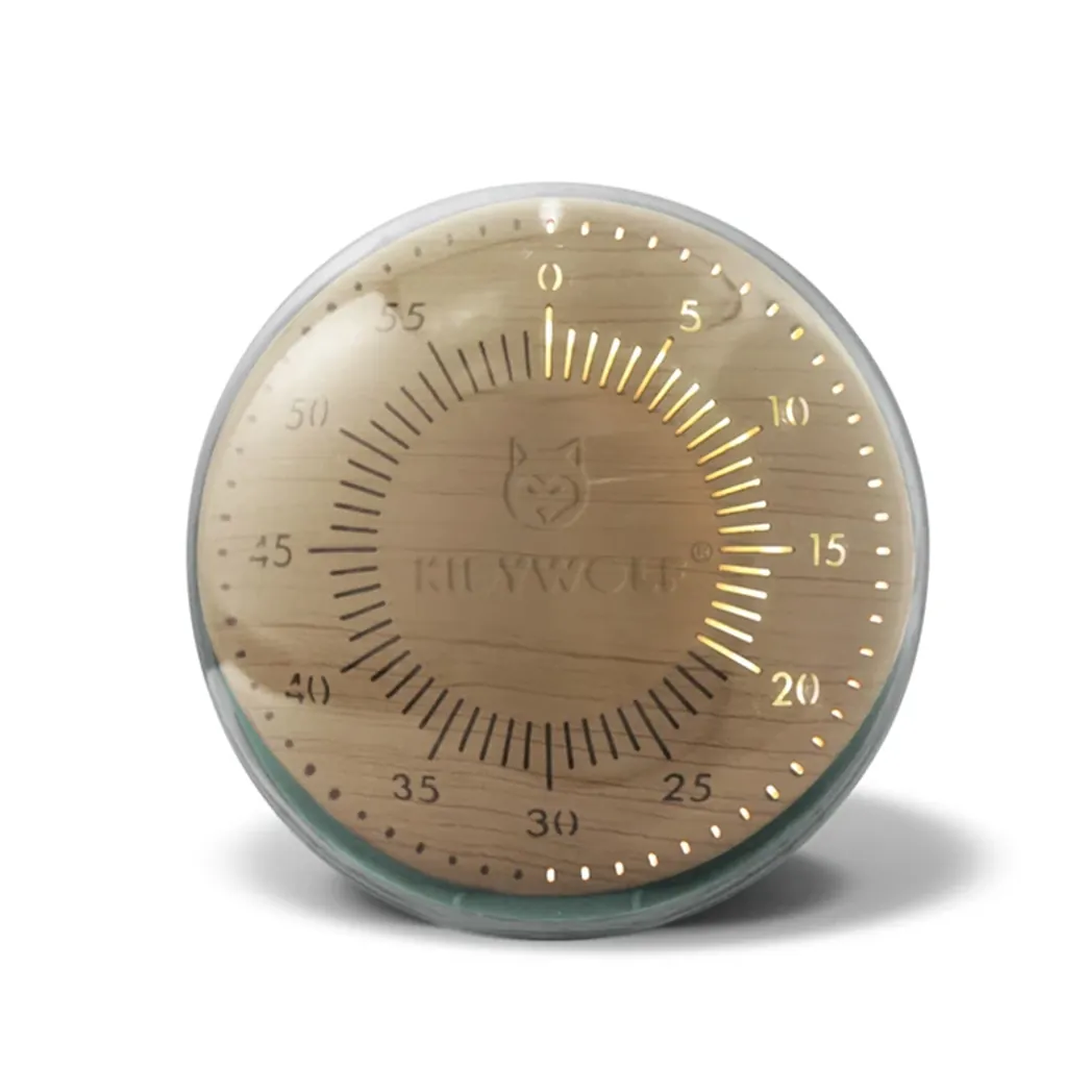 Analoger LED Timer