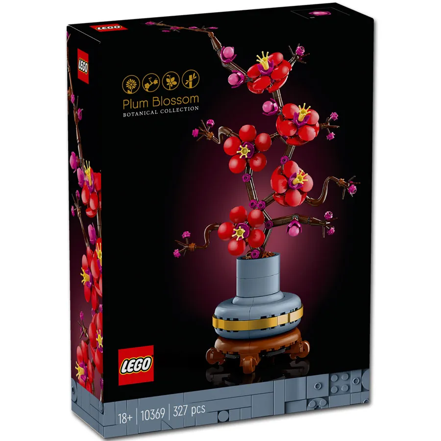 Pflaumenblüte