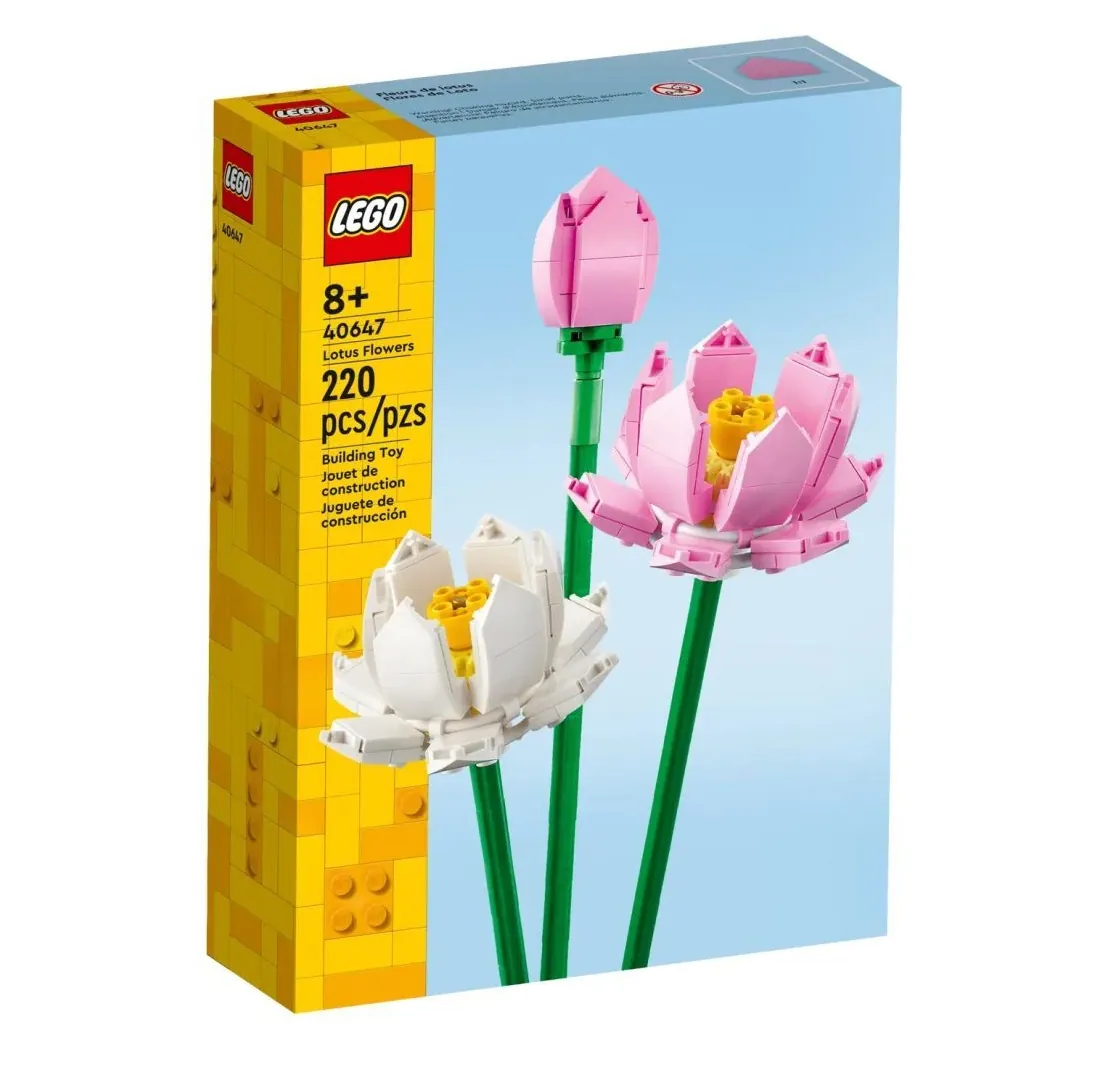 Lotusblumen