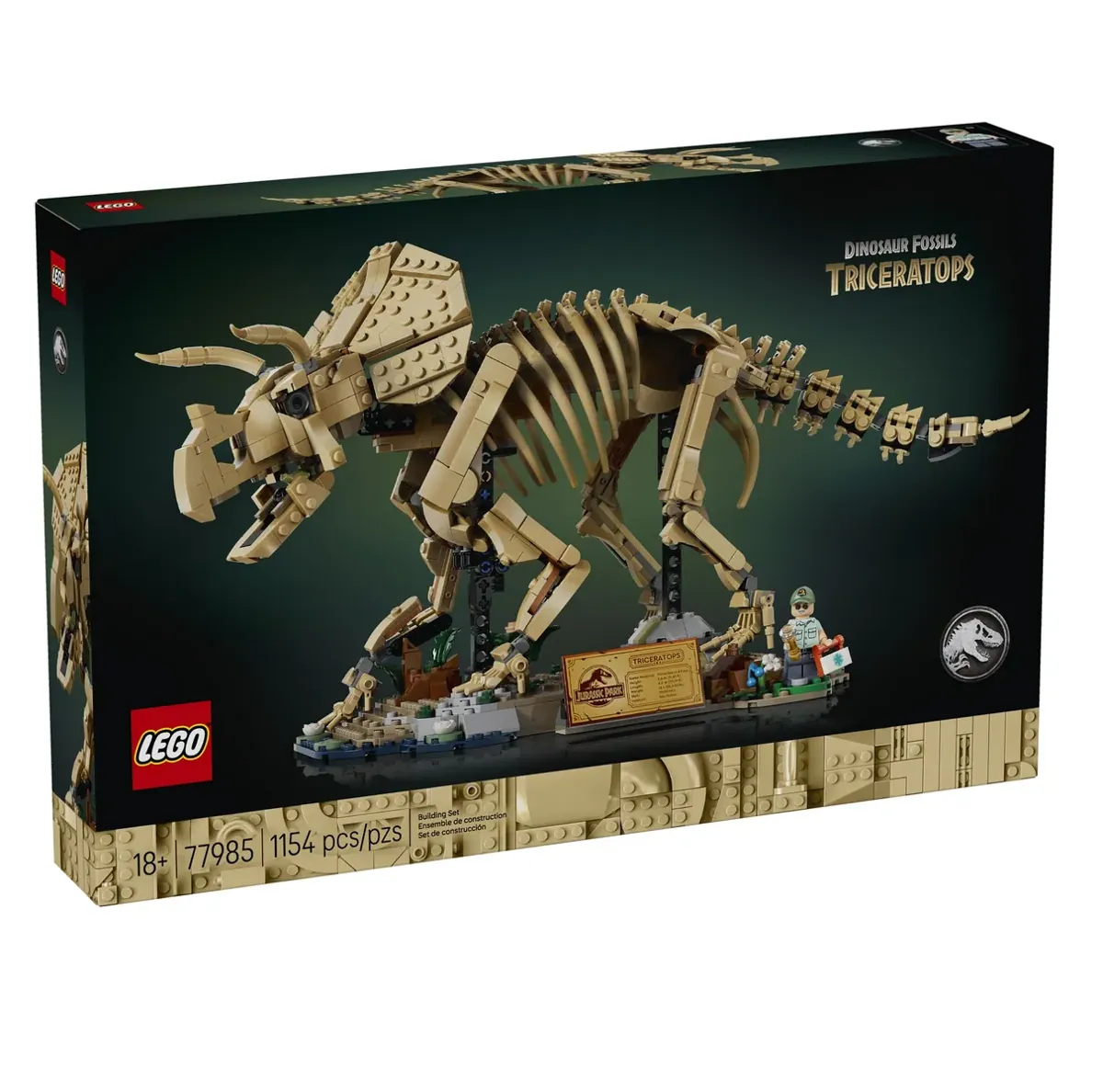 Dinosaurier-Fossilien