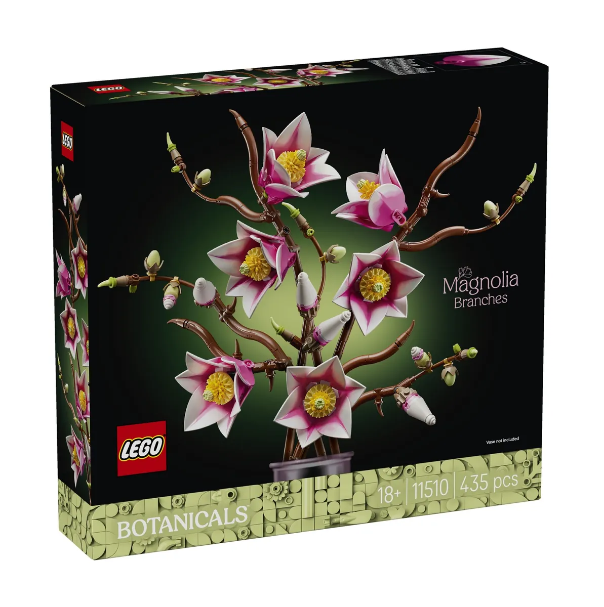 Magnolienzweige