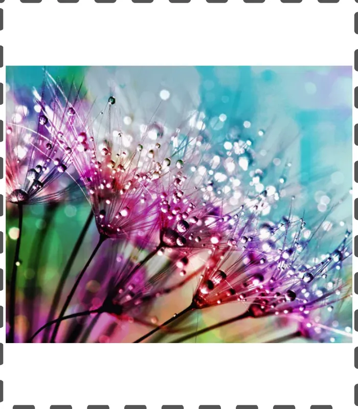 Diamond Painting Pusteblume im Wasser 35x40cm eckig