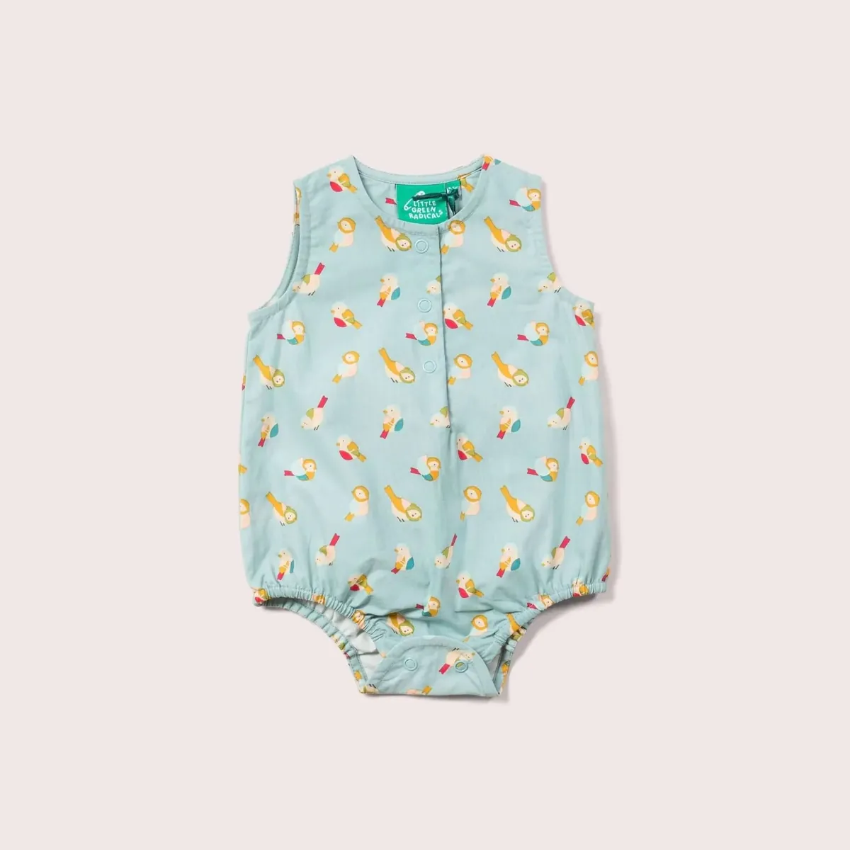 Baby Body Rainbow Birds