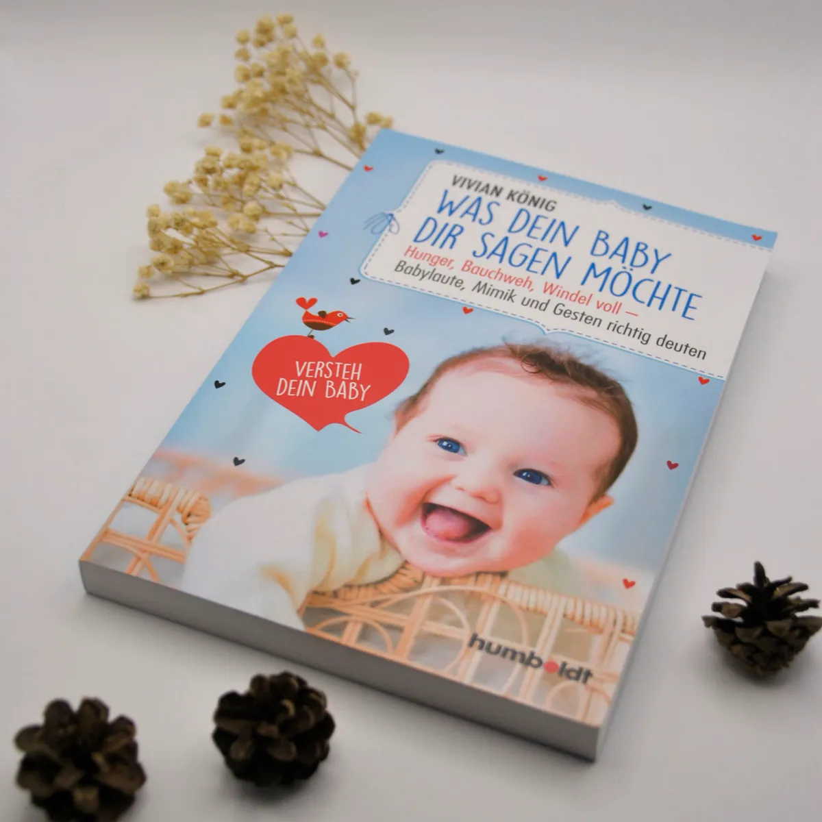 Buch zur Dunstan-Babysprache | Vivian König