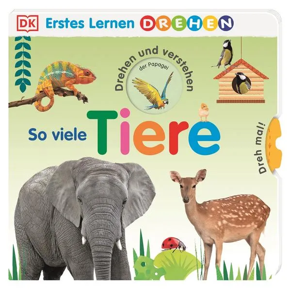 Erstes Lernen Drehen