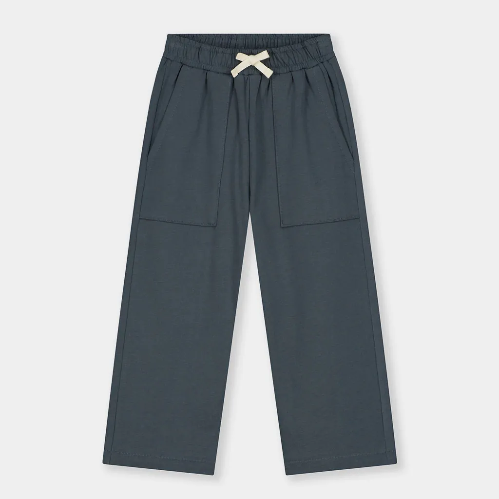 Hose Loose Straight Blue Grey